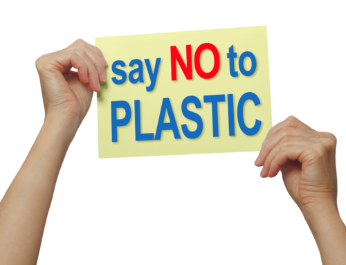 Kindness Tips 101: Avoid Single-Use Plastics